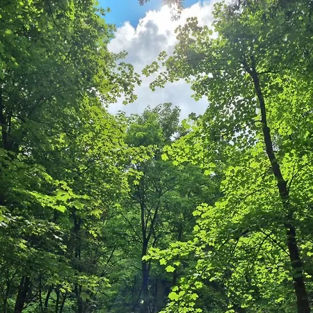 Lejlighed Rakke Kiefernweg *