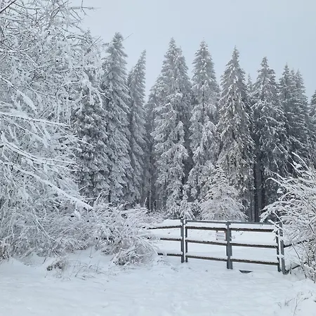 Lejlighed Rakke Kiefernweg Winterberg