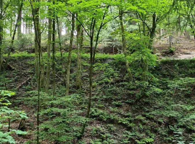 Rakke Kiefernweg شقة
