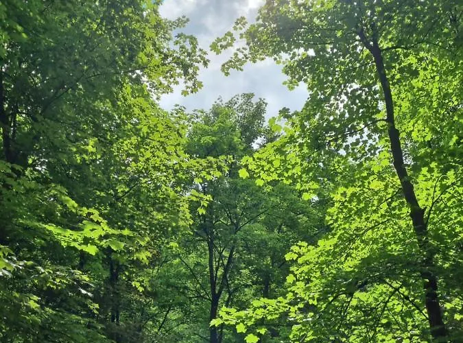 Apartment Rakke Kiefernweg *