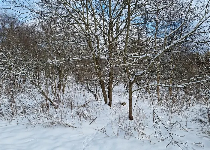 Rakke Kiefernweg * Winterberg