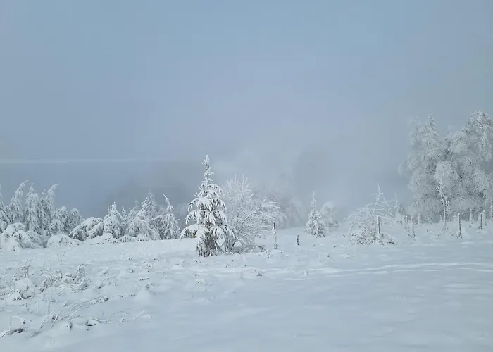 Rakke Kiefernweg Apartment *