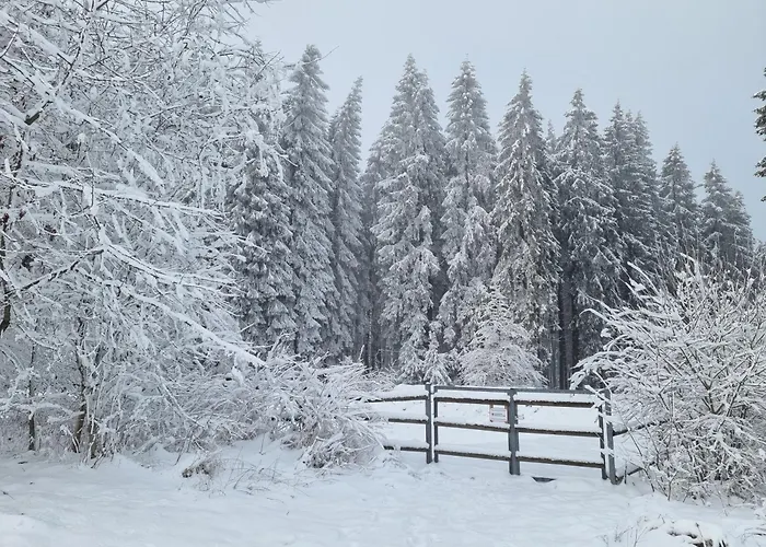 شقة Rakke Kiefernweg وينتربرغ